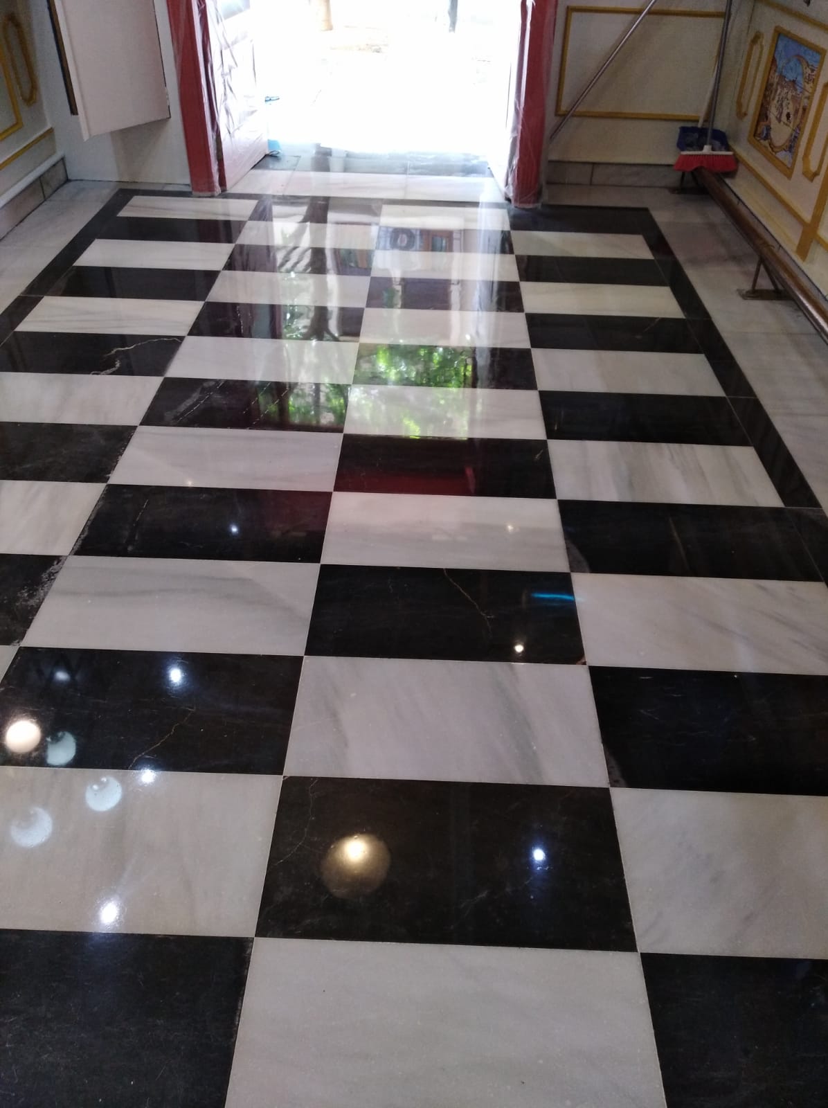 Terrazo micro pulido