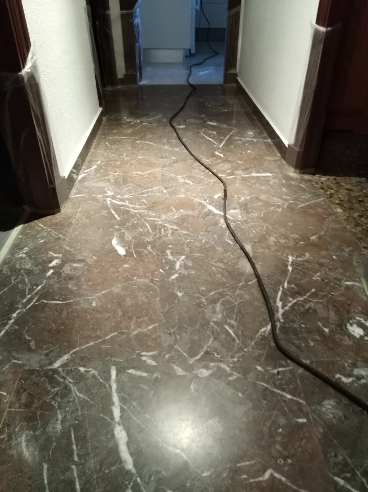 Antes Abrillantado de terrazo