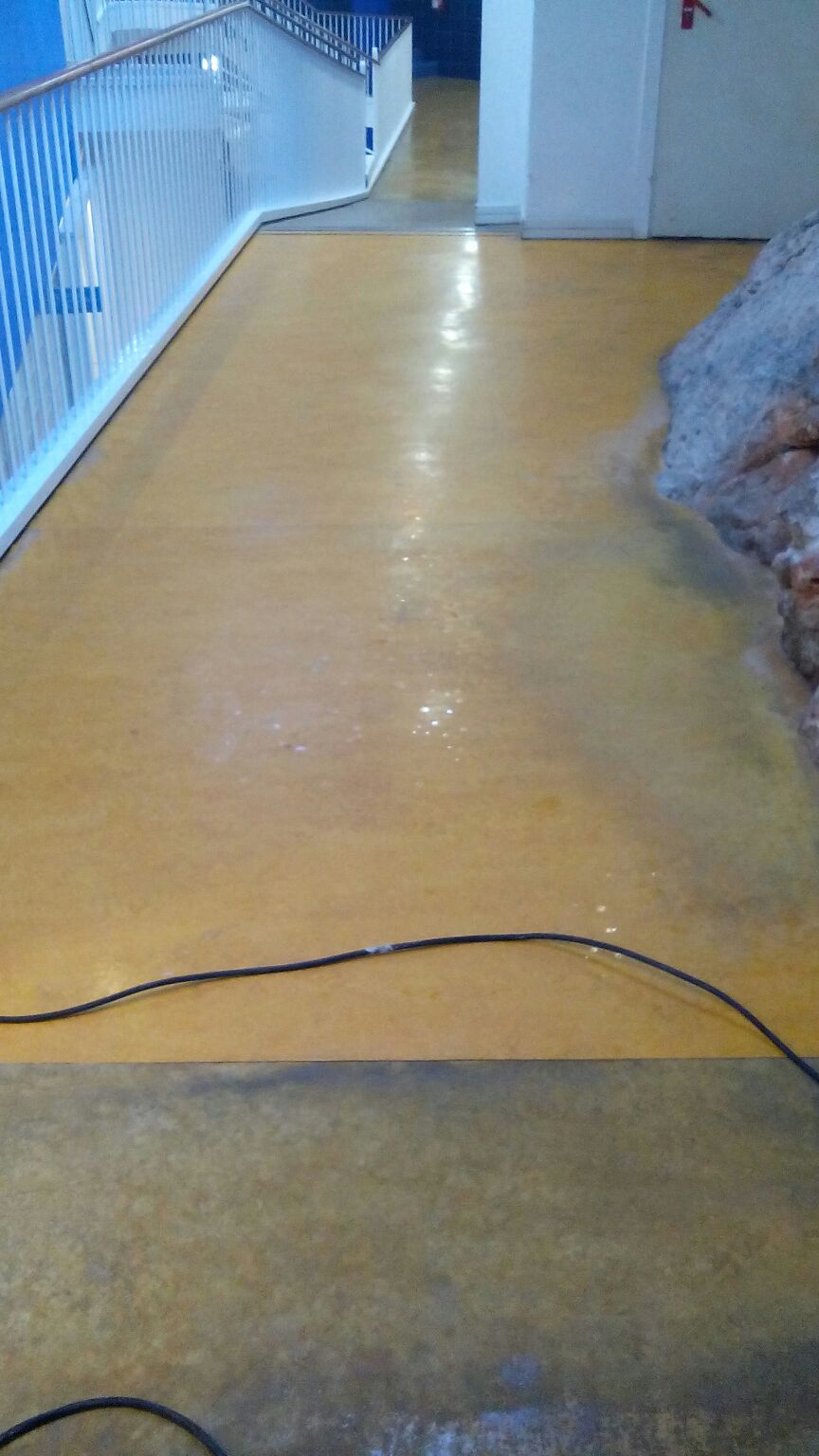 Suelo para restaurar de linoleo